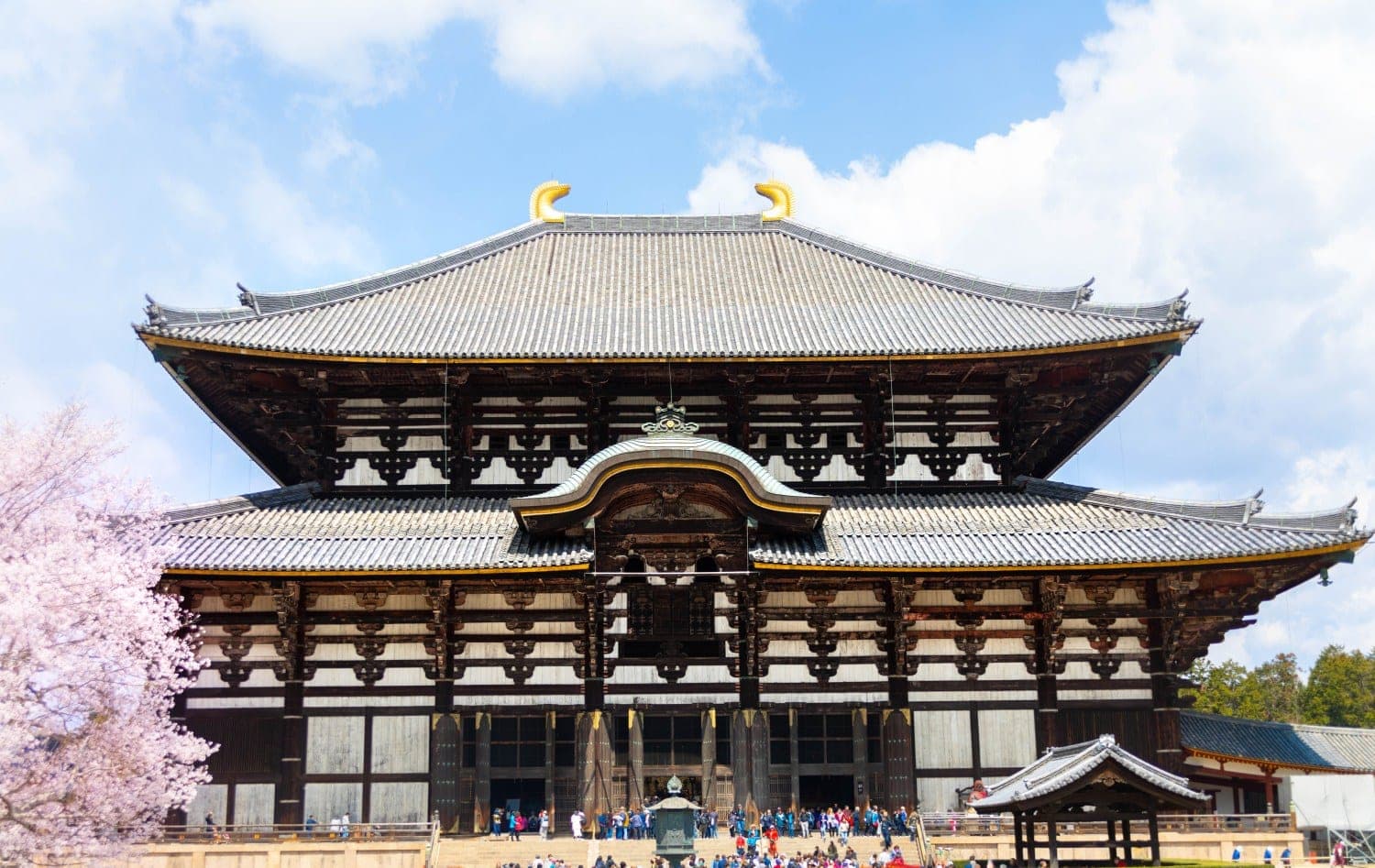 Nara
