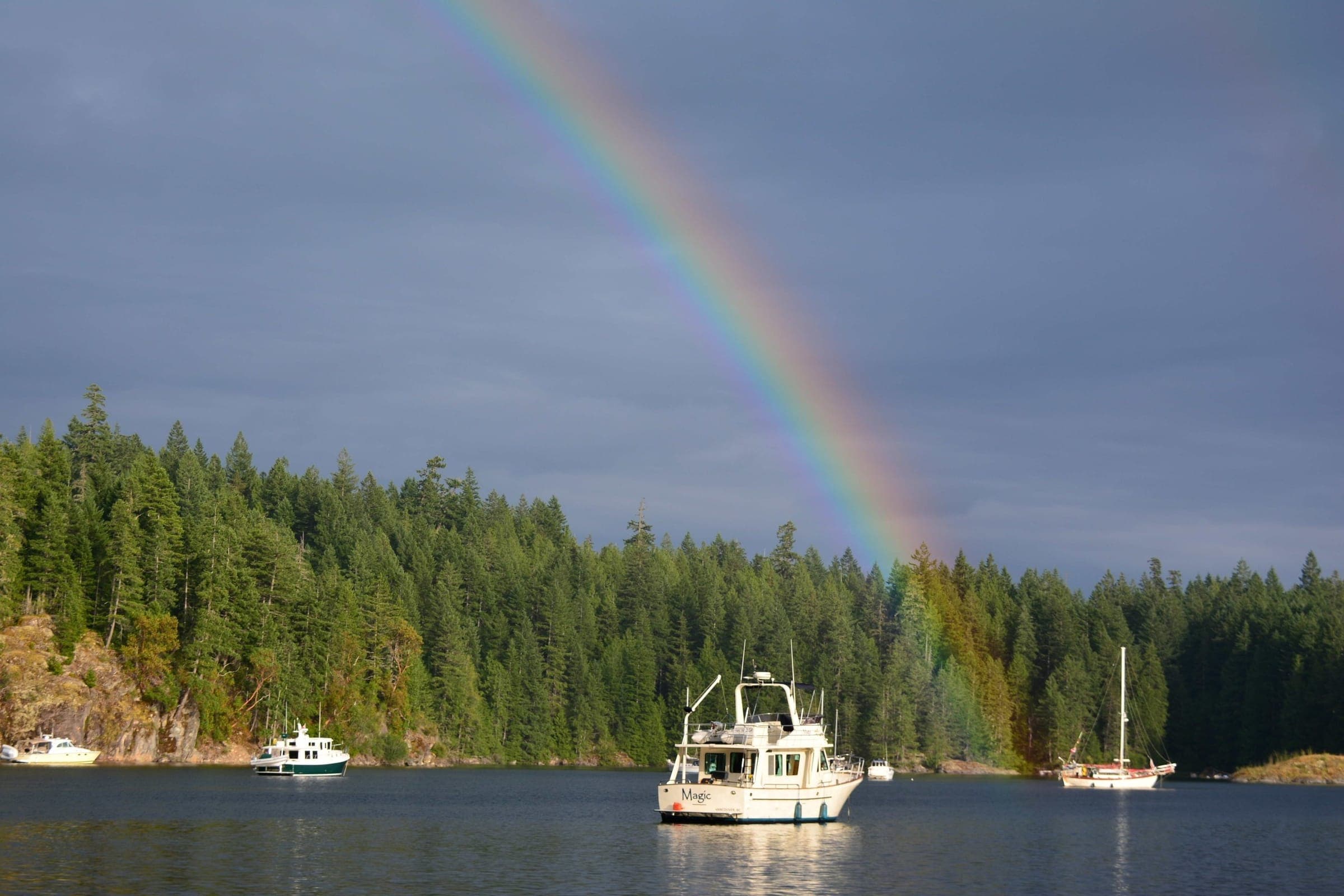 Сквиррел-Ков