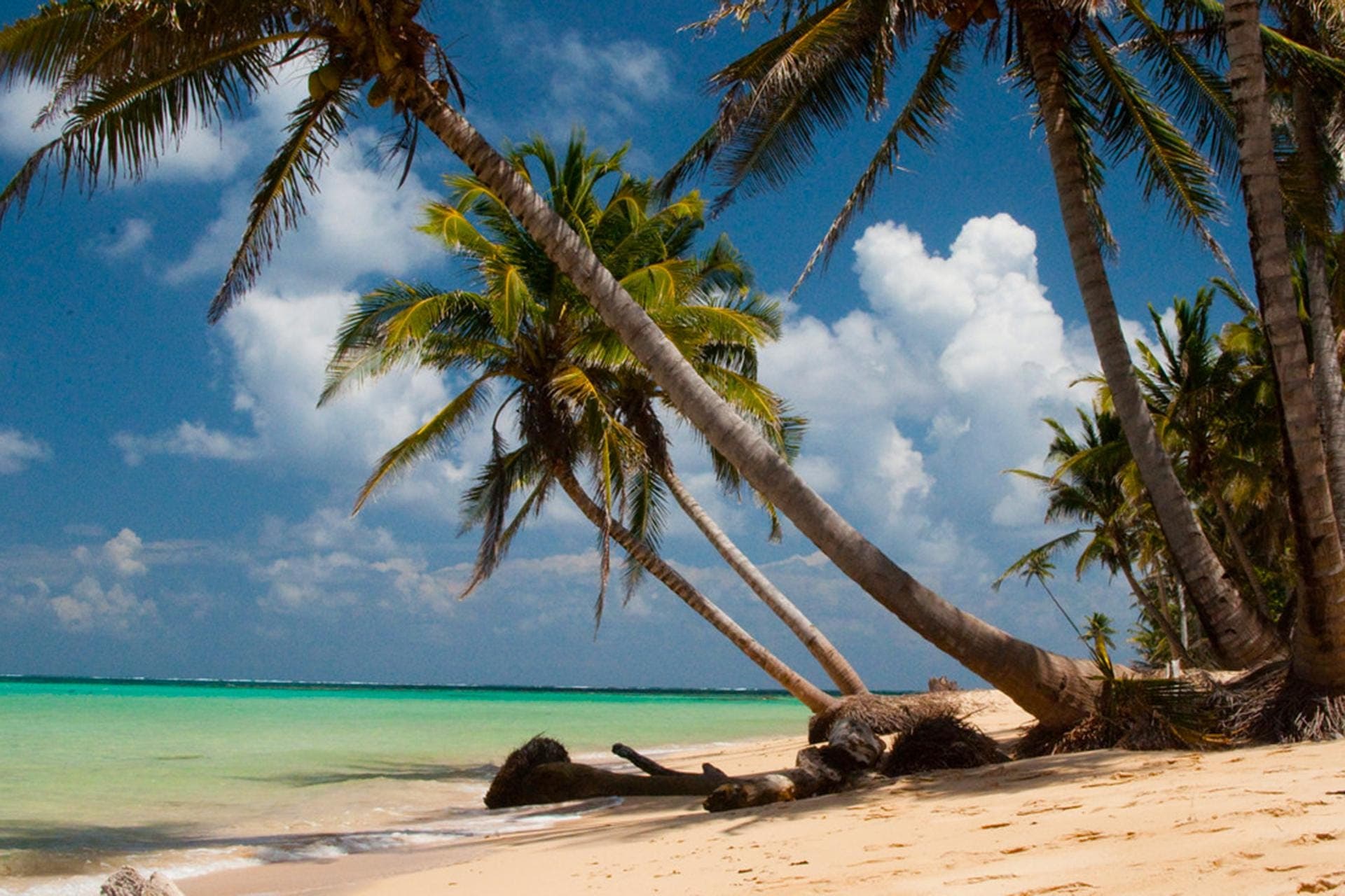 Corn Island