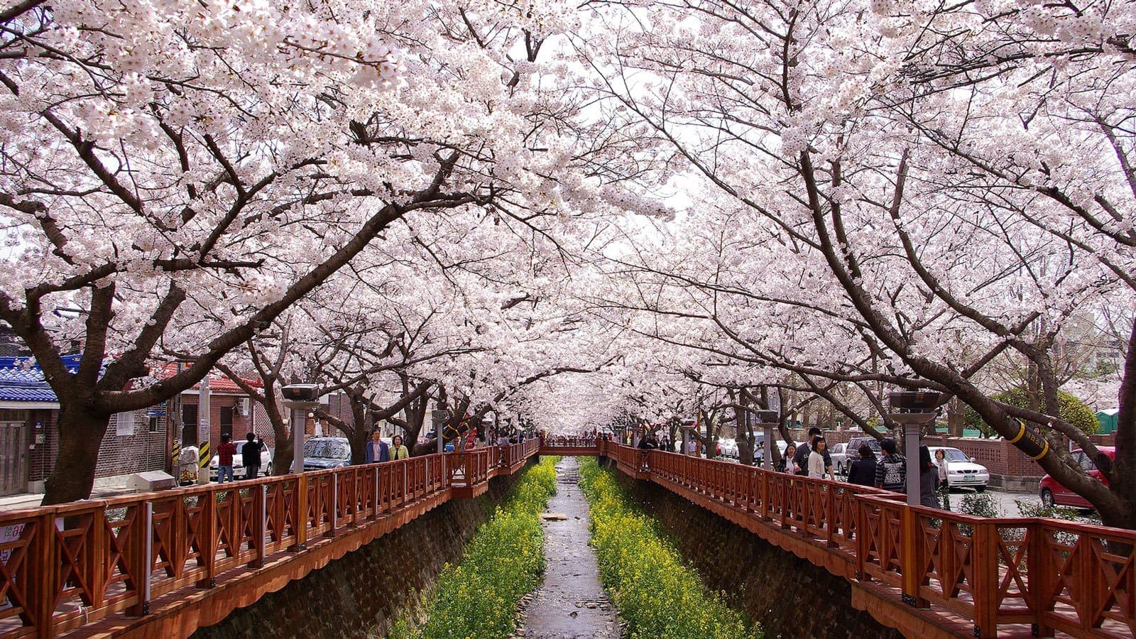 Jinhae