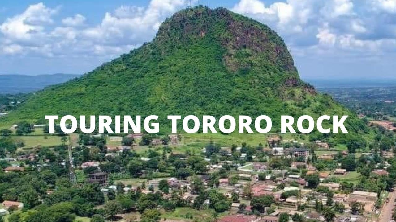 Tororo