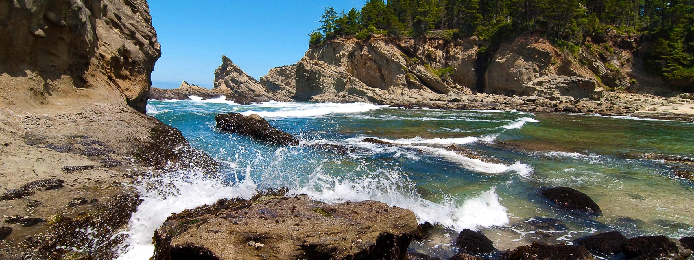 Tillamook