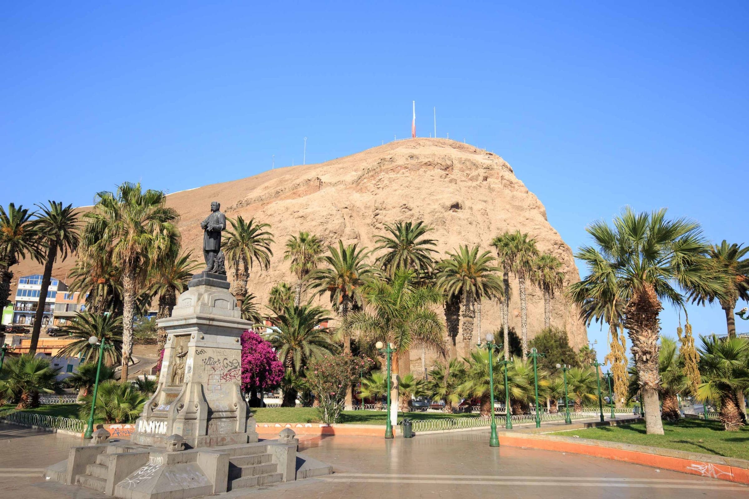 Arica