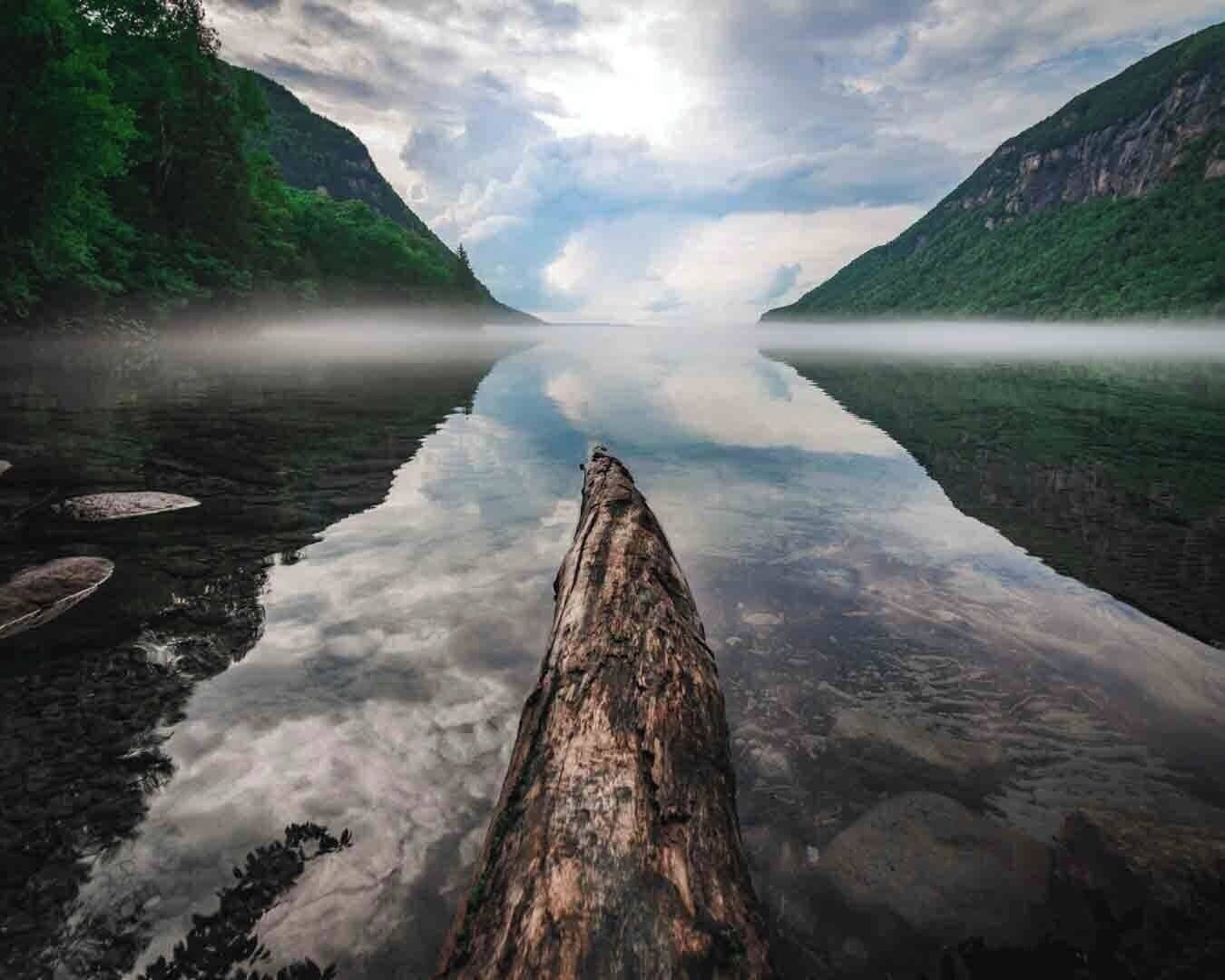 Уиллоуби