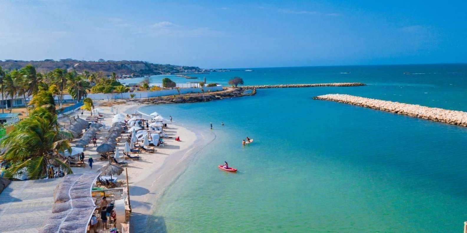 Palmarito