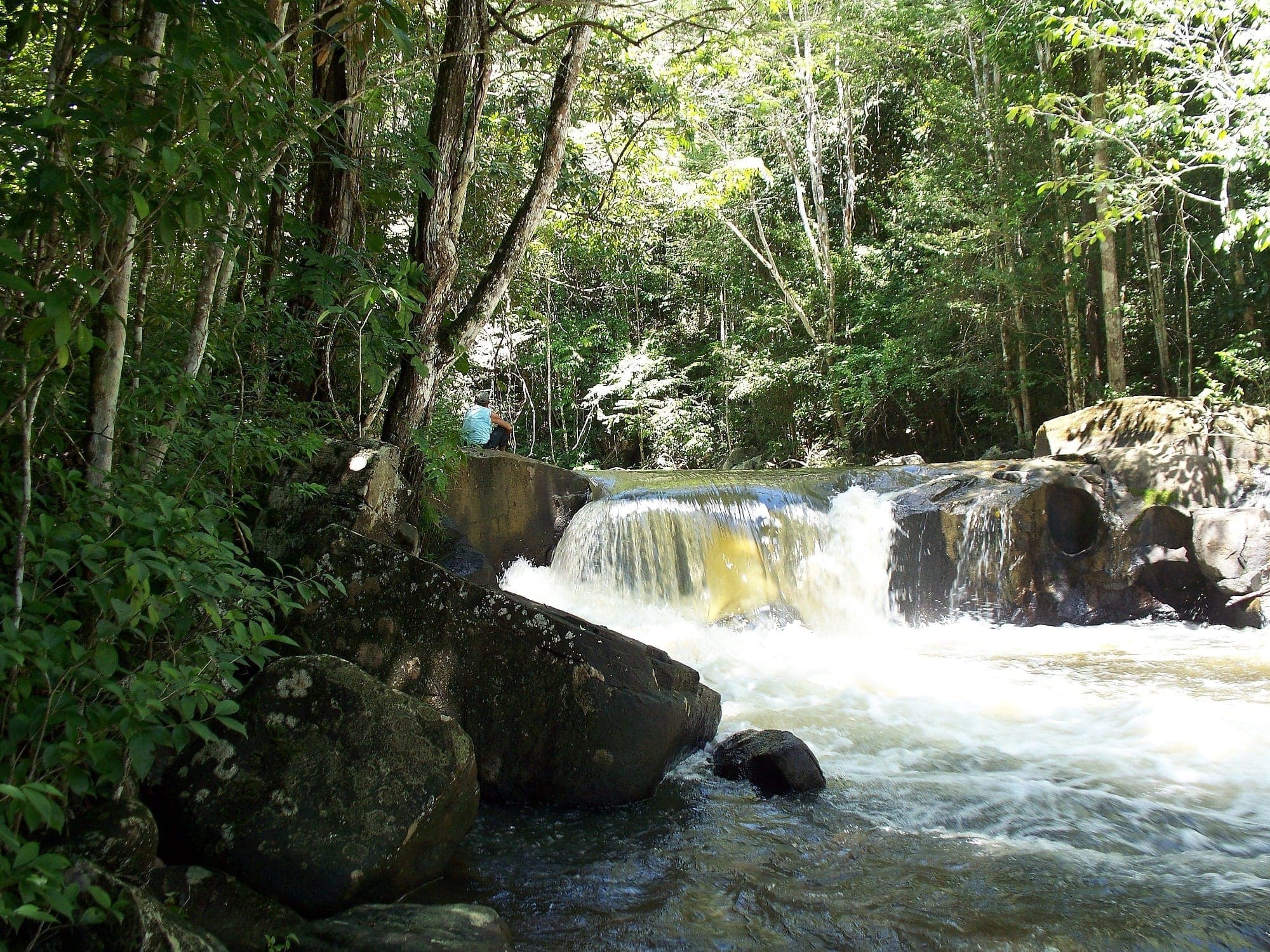 Paramakotoi