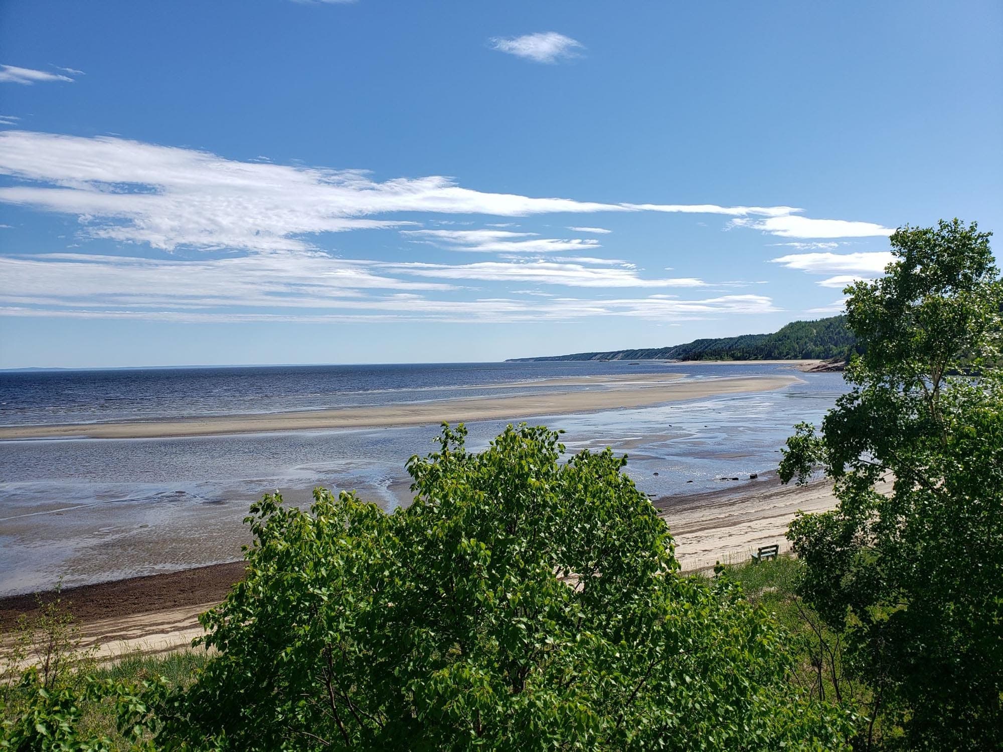 Форествилл