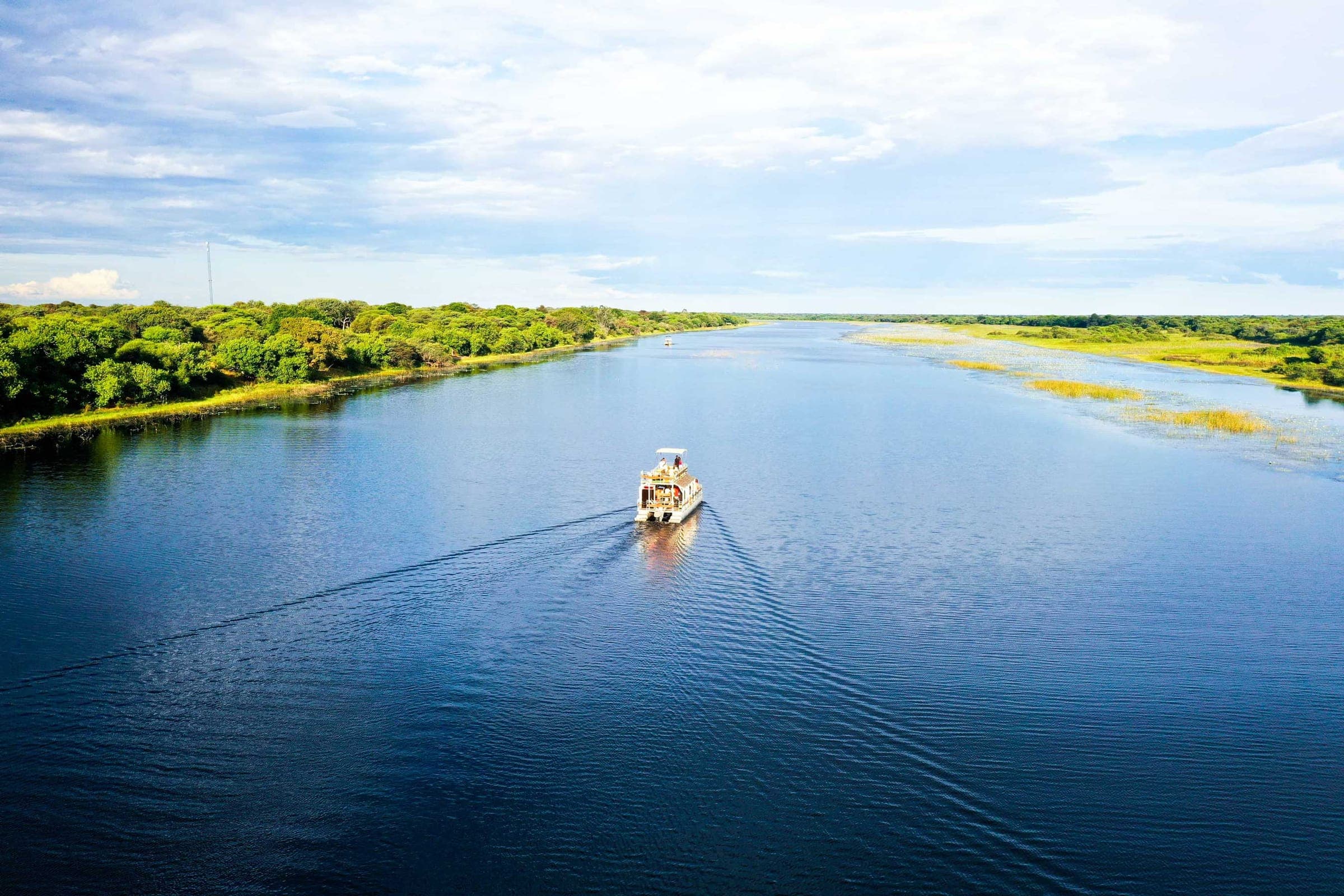 Maun
