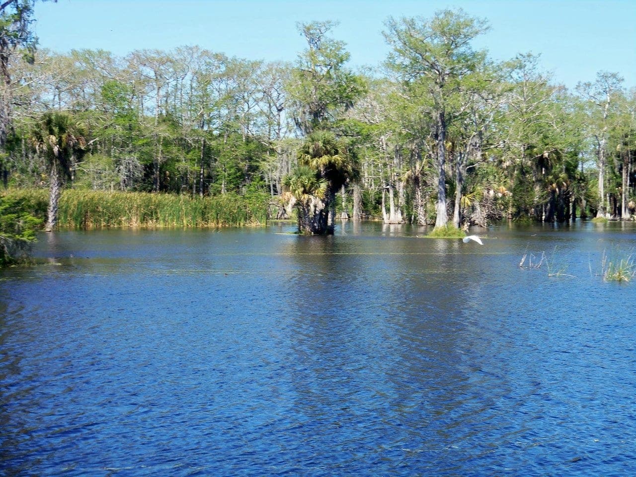 Okeechobee
