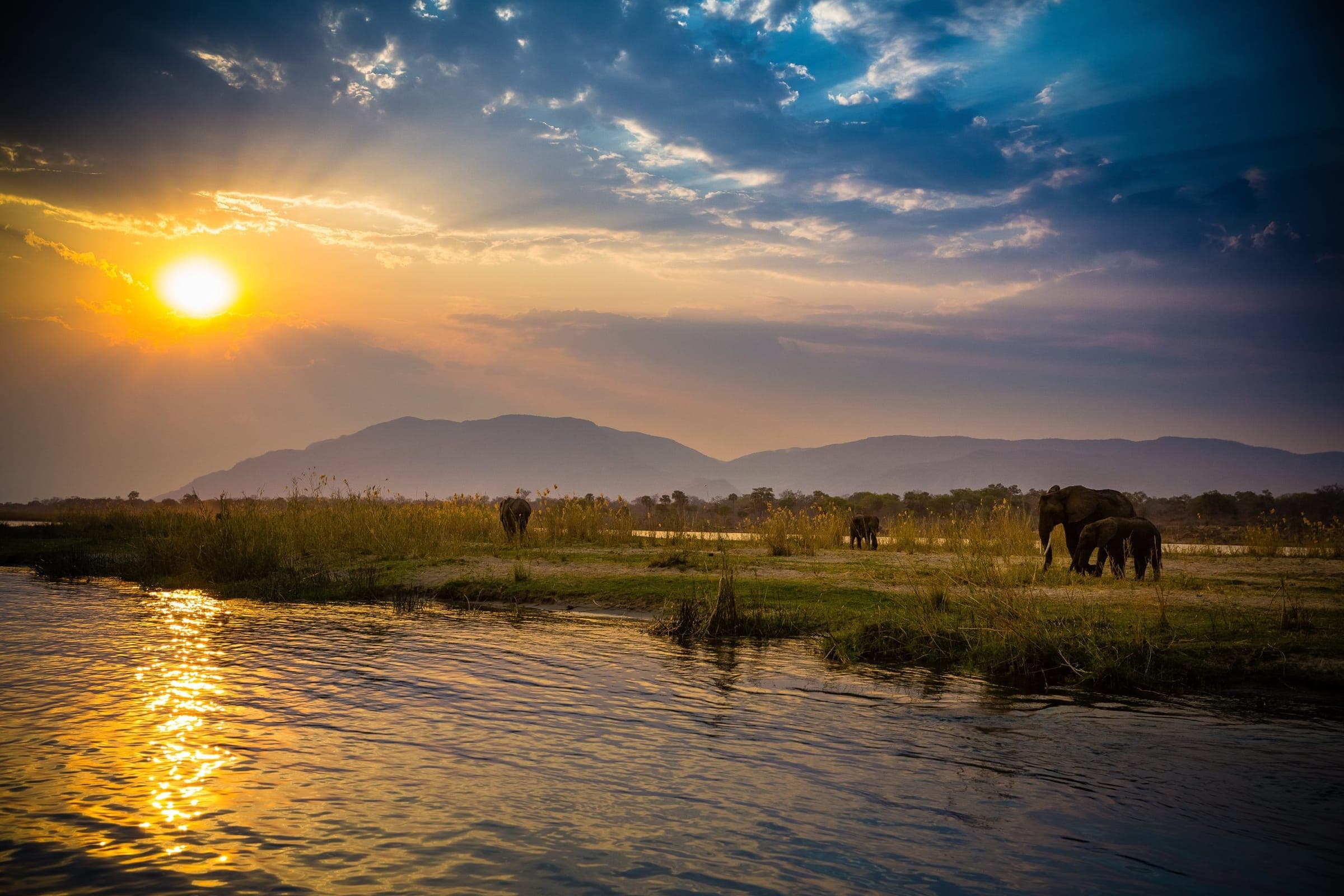 Lower Zambezi NP