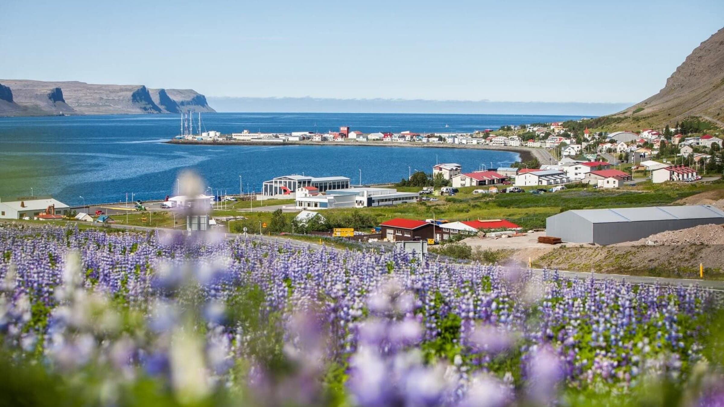 Patreksfjordur