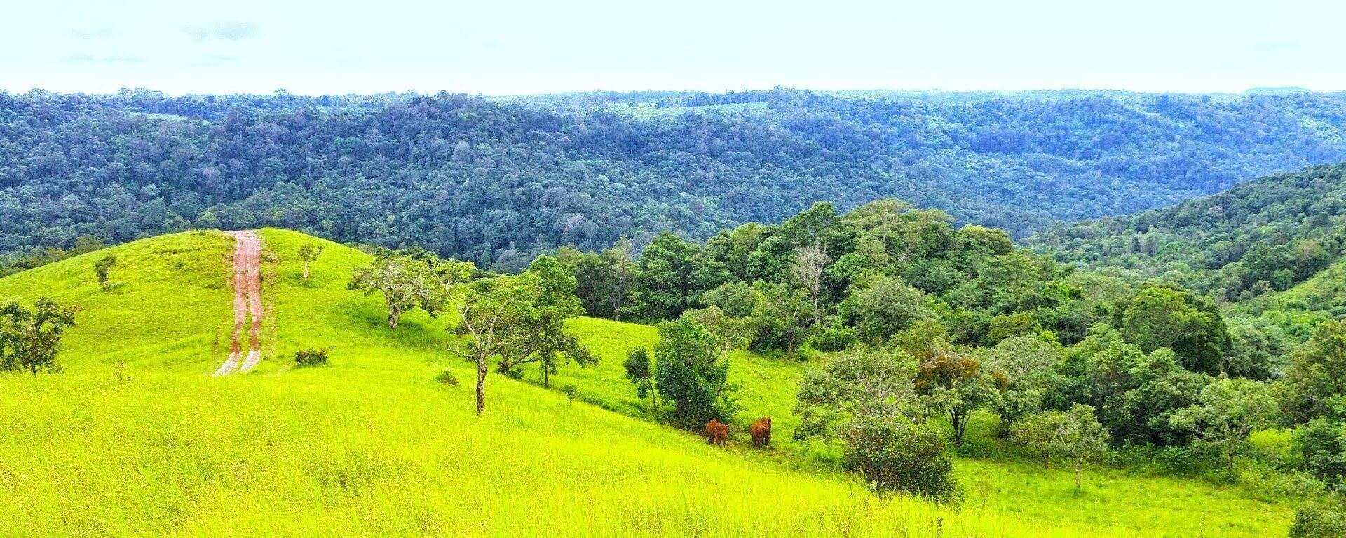 Mundulkiri
