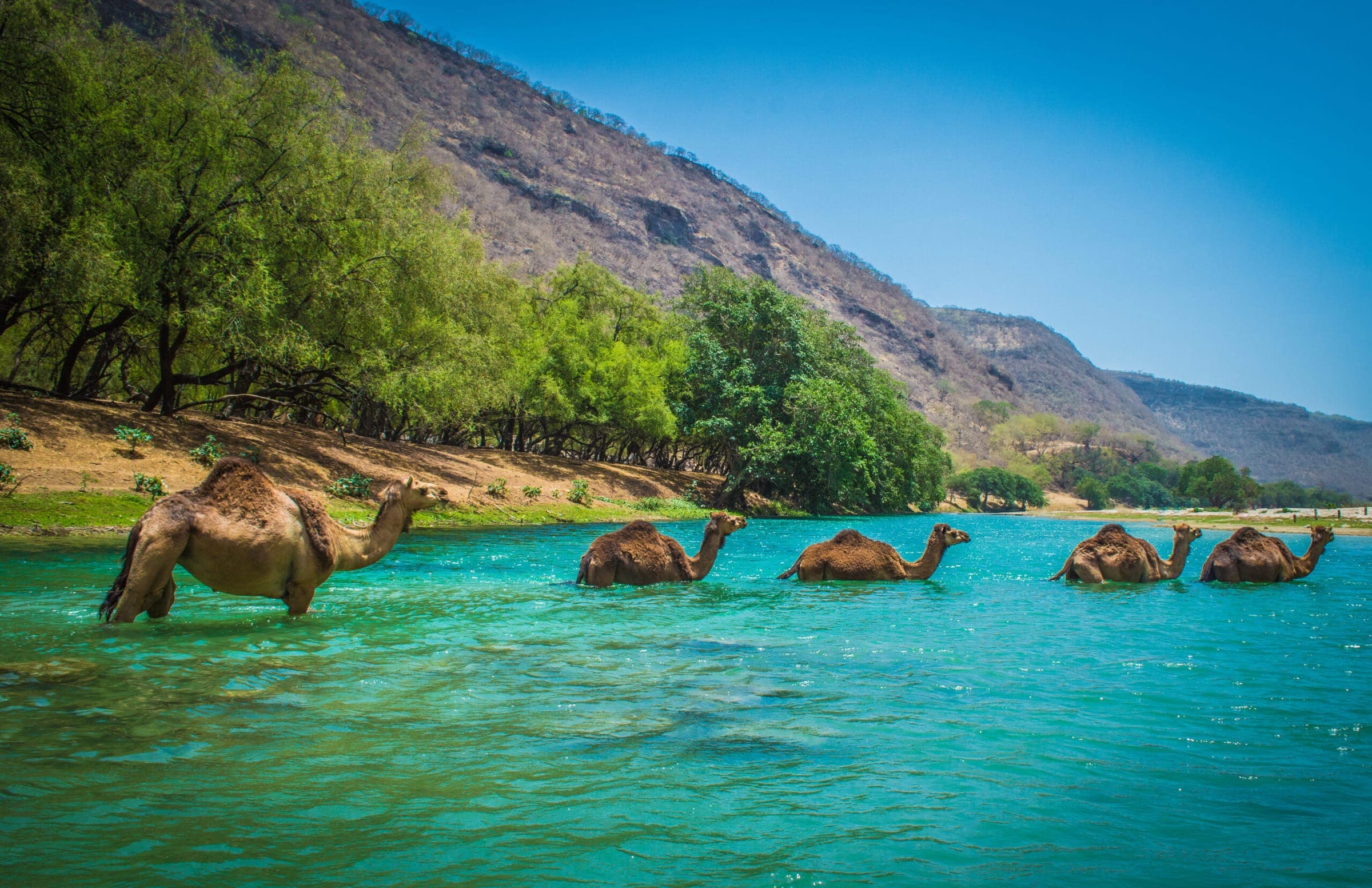Salalah