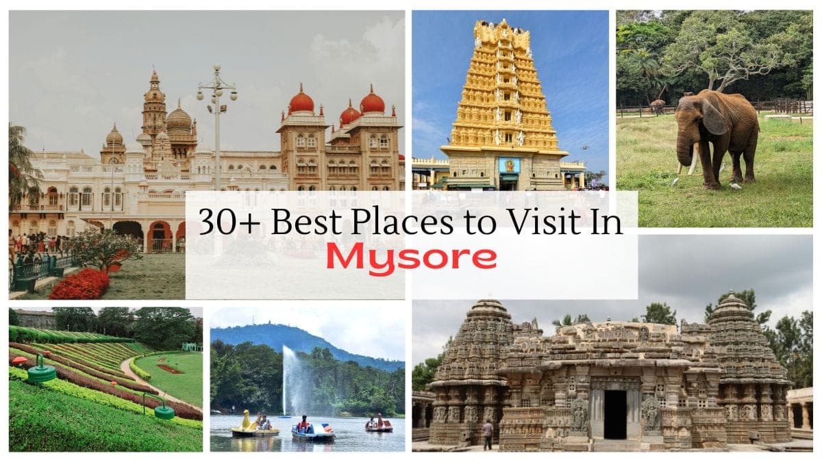 Mysore