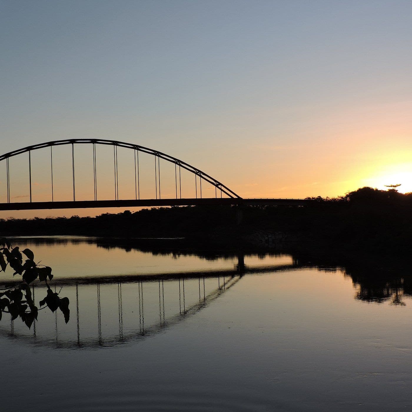 Cravo Norte