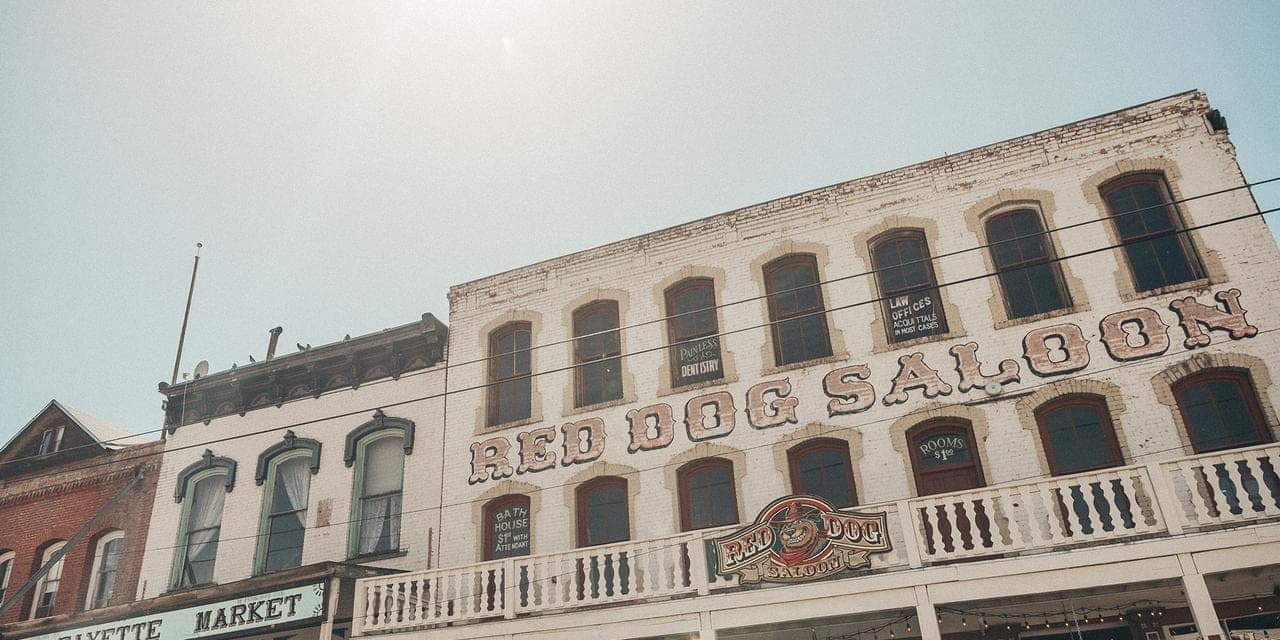 Red Dog
