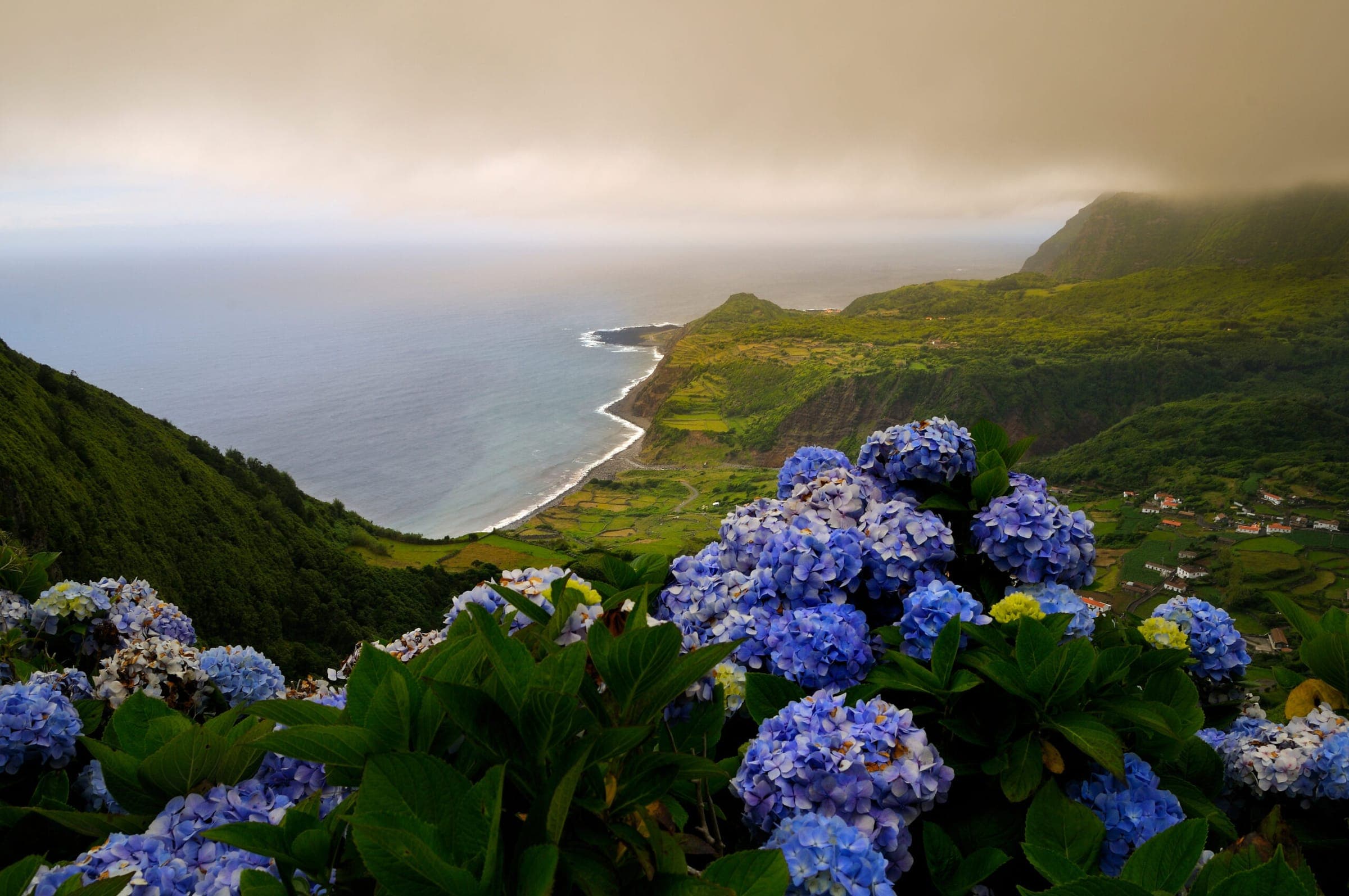 Flores Island (Azores)