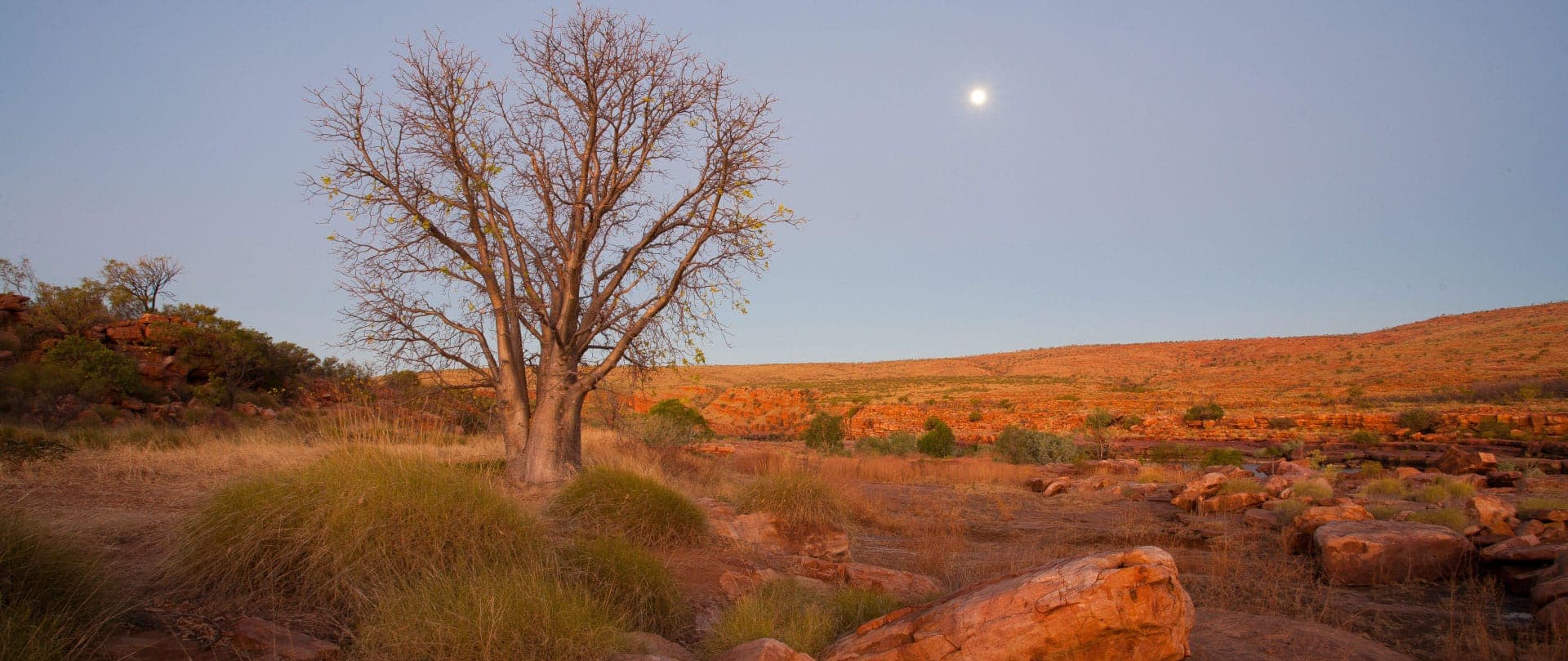 Noonkanbah