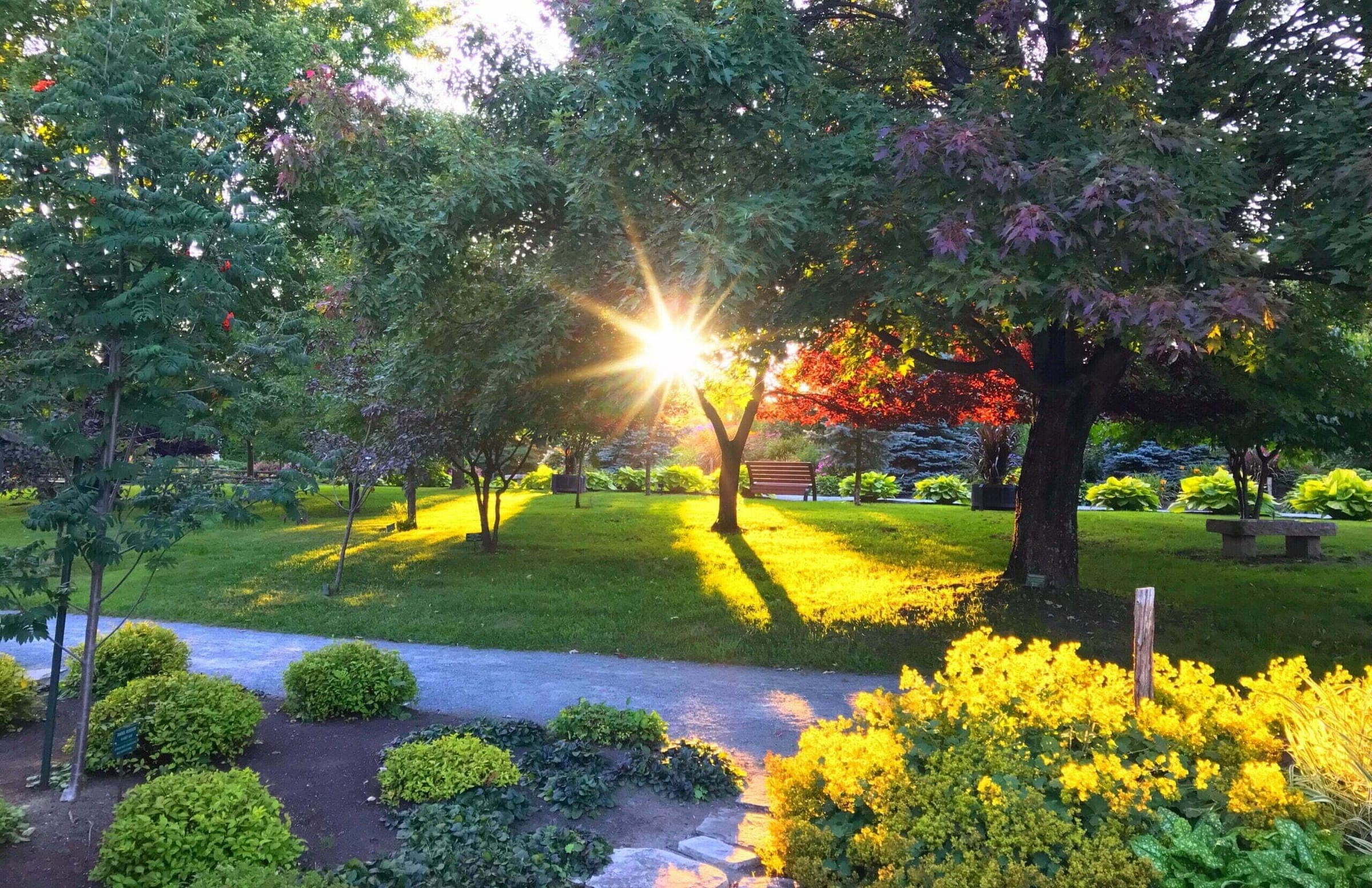 Руэн-Норанда