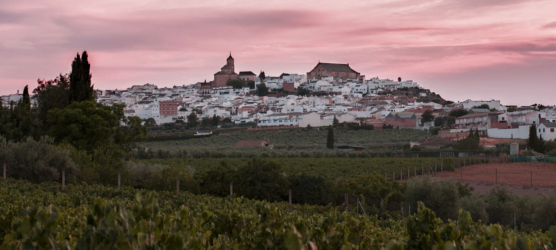 Montilla