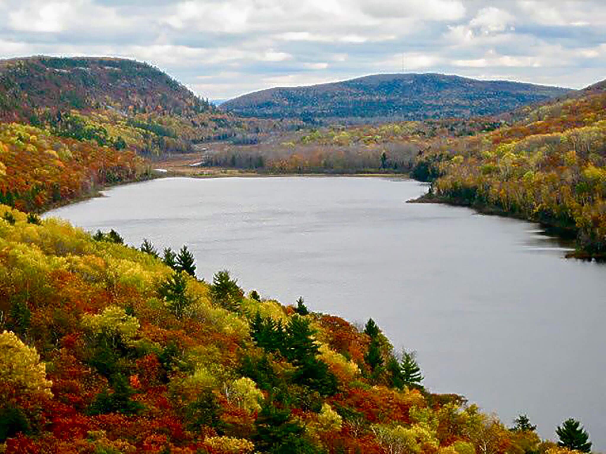 Porcupine Creek