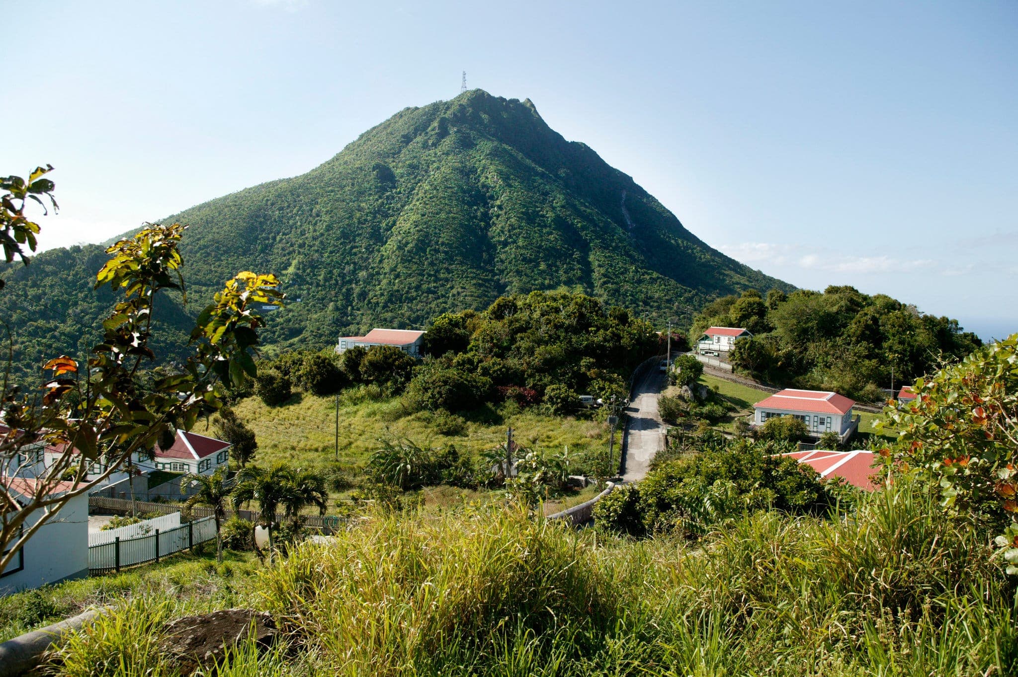 Saba