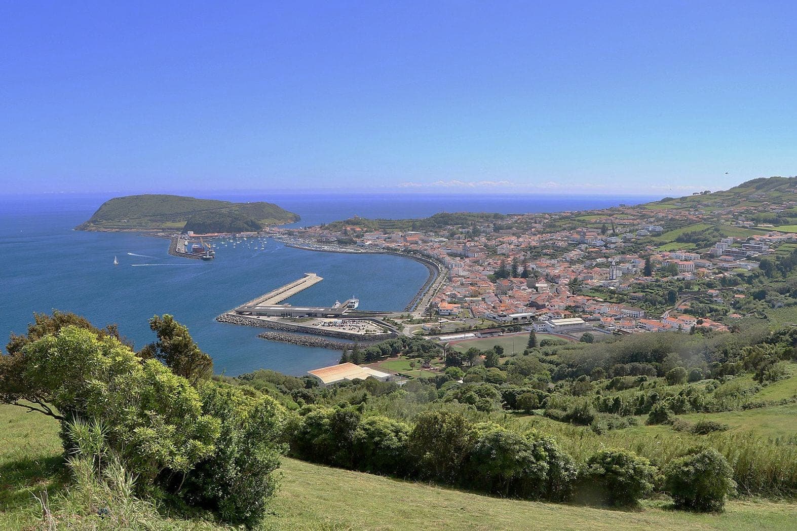 Орта