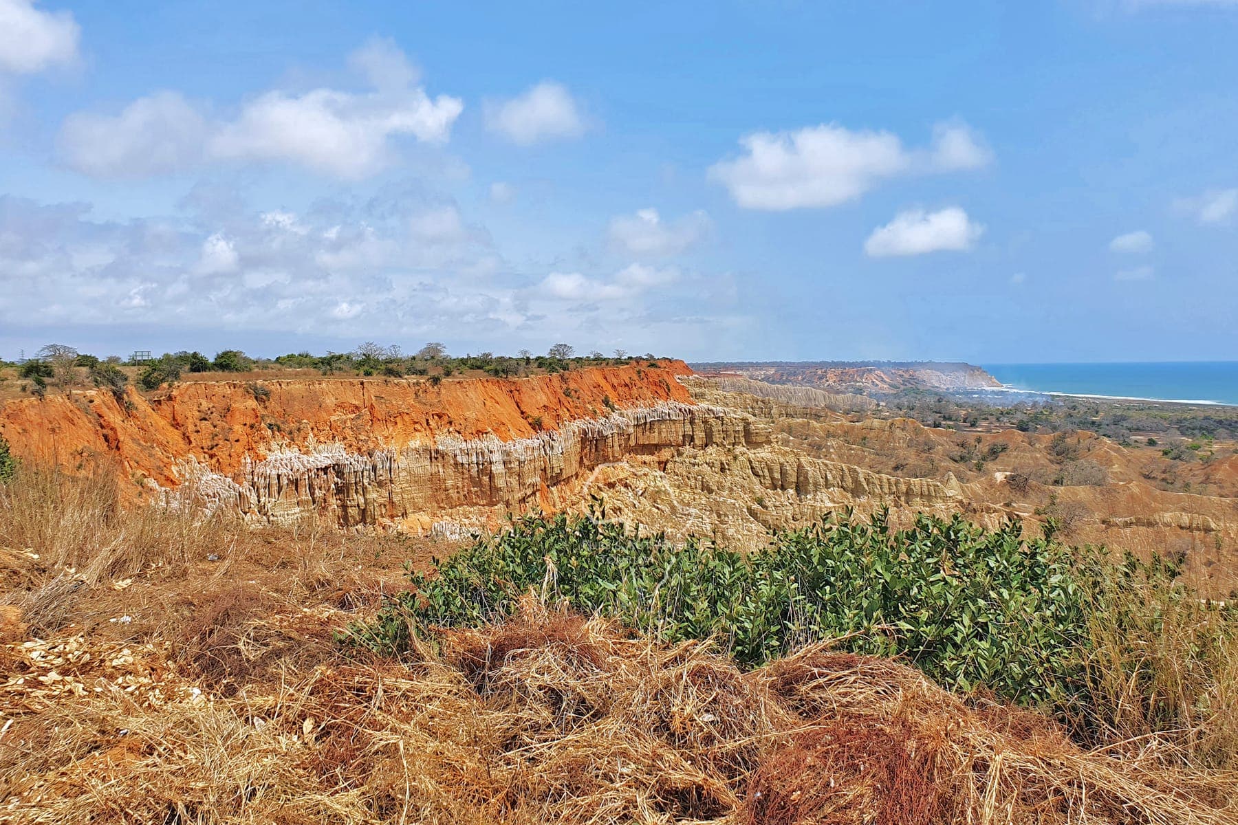 Chitato