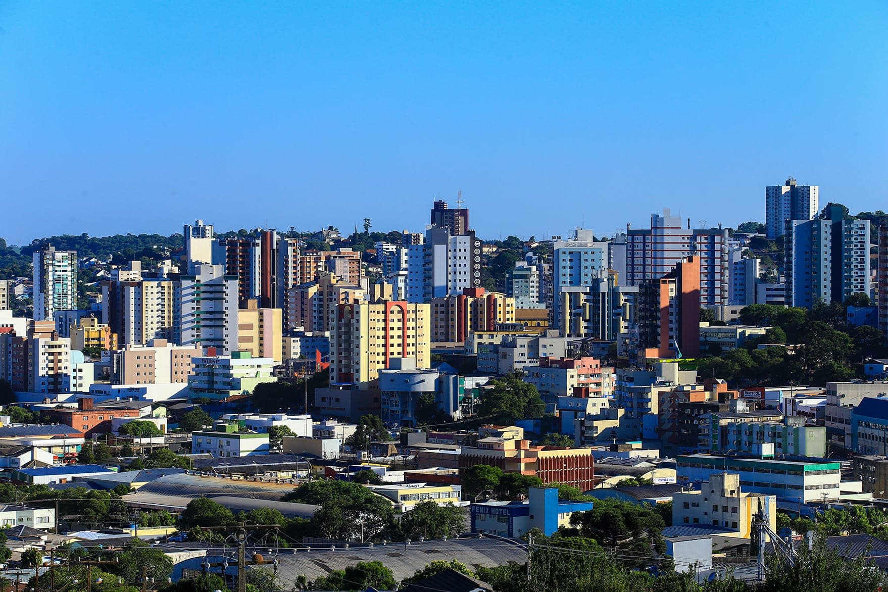 Pato Branco