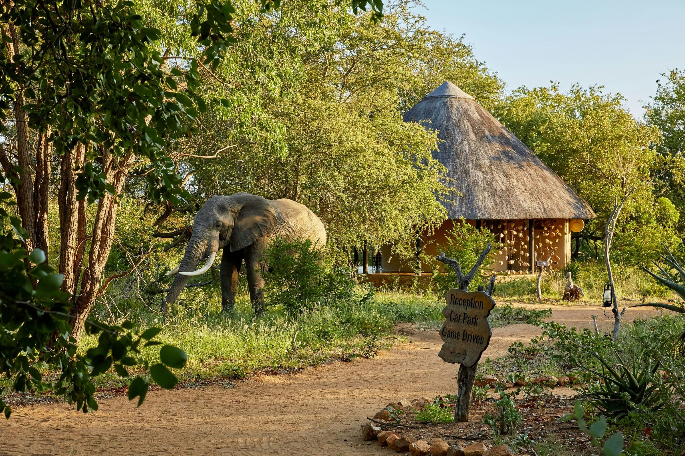 Motswari