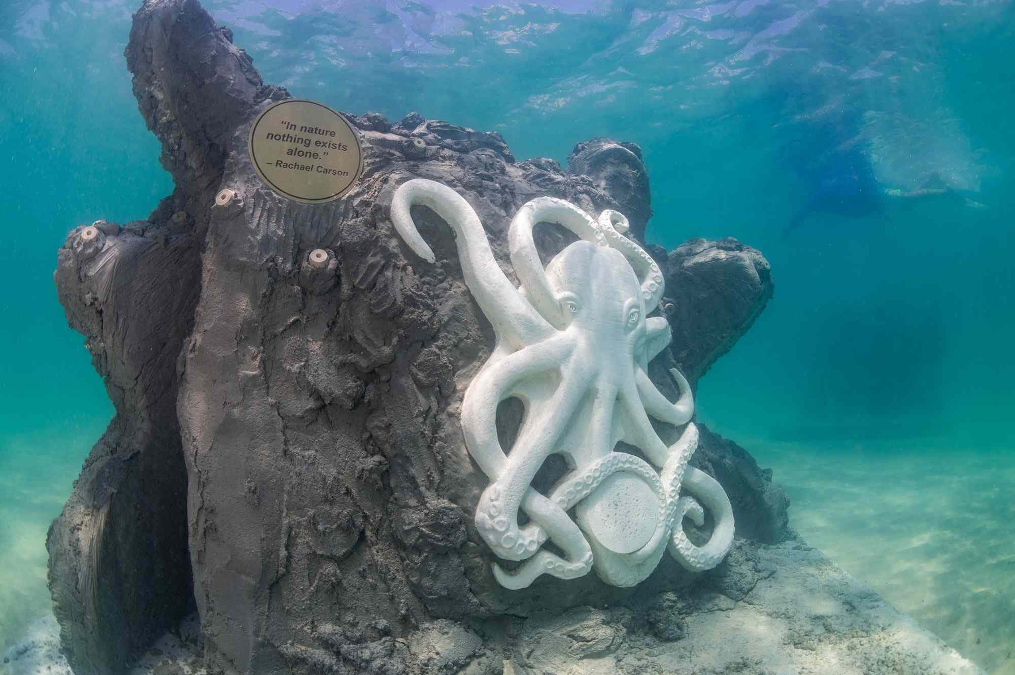 Ocean Reef
