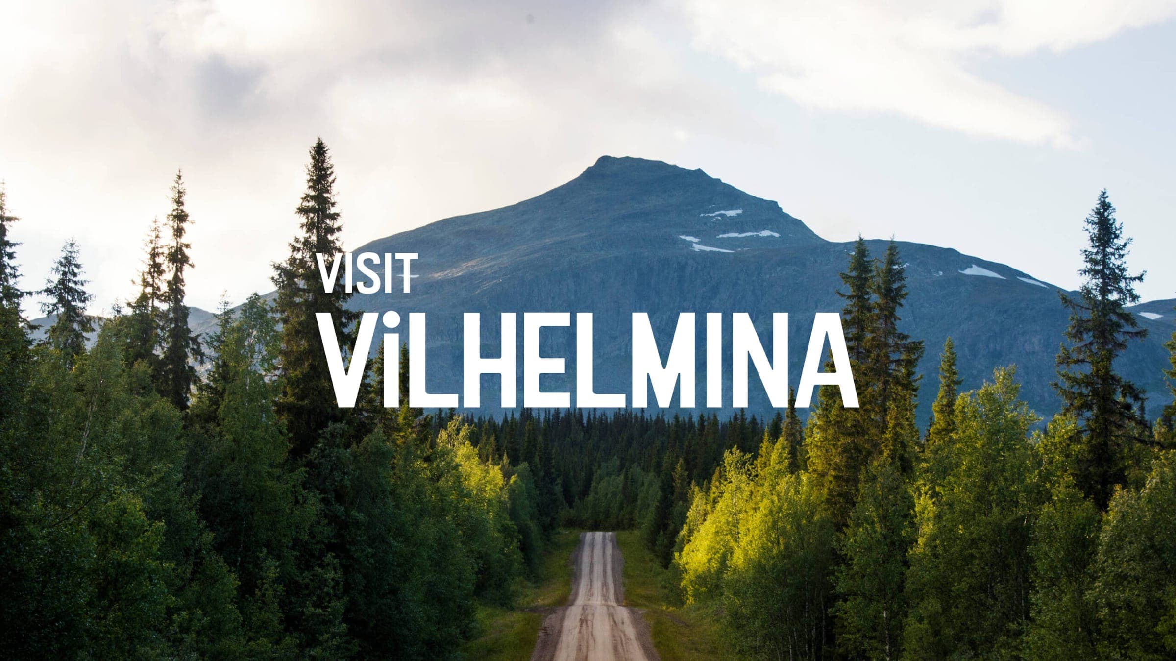 Vilhelmina