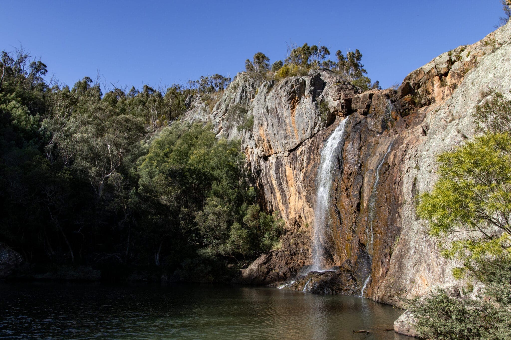 Orbost