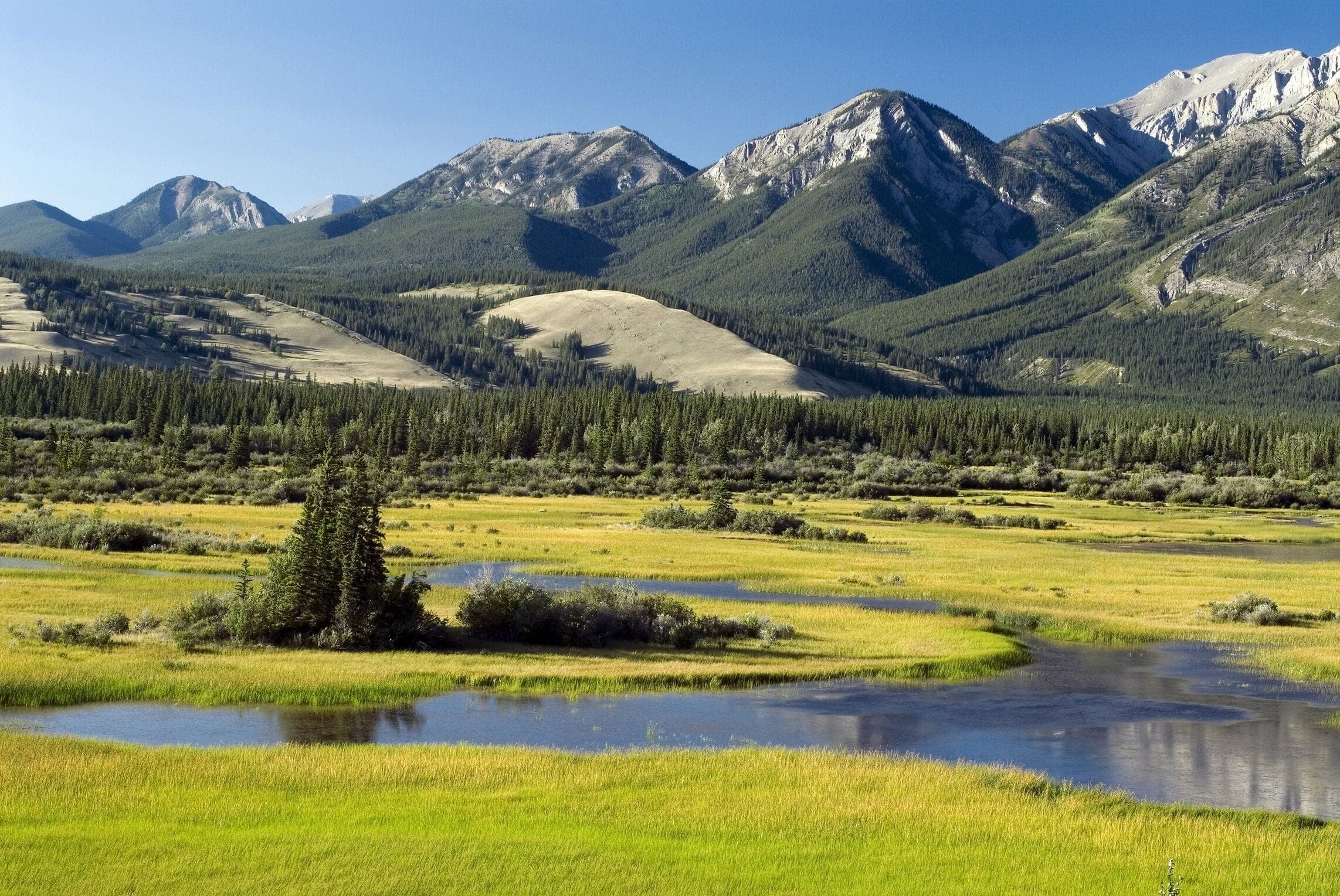 Форт-Мак-Муррей