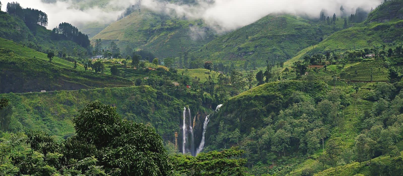 Nuwara Eliya