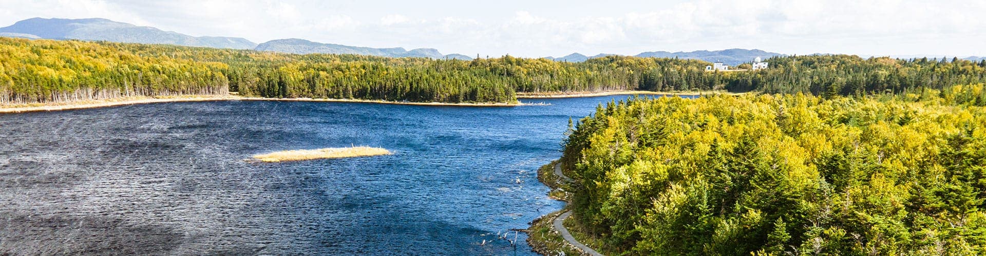 Стивенвилл