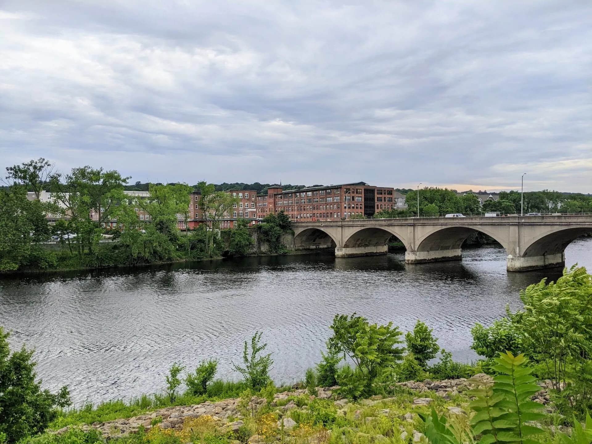 Shelton