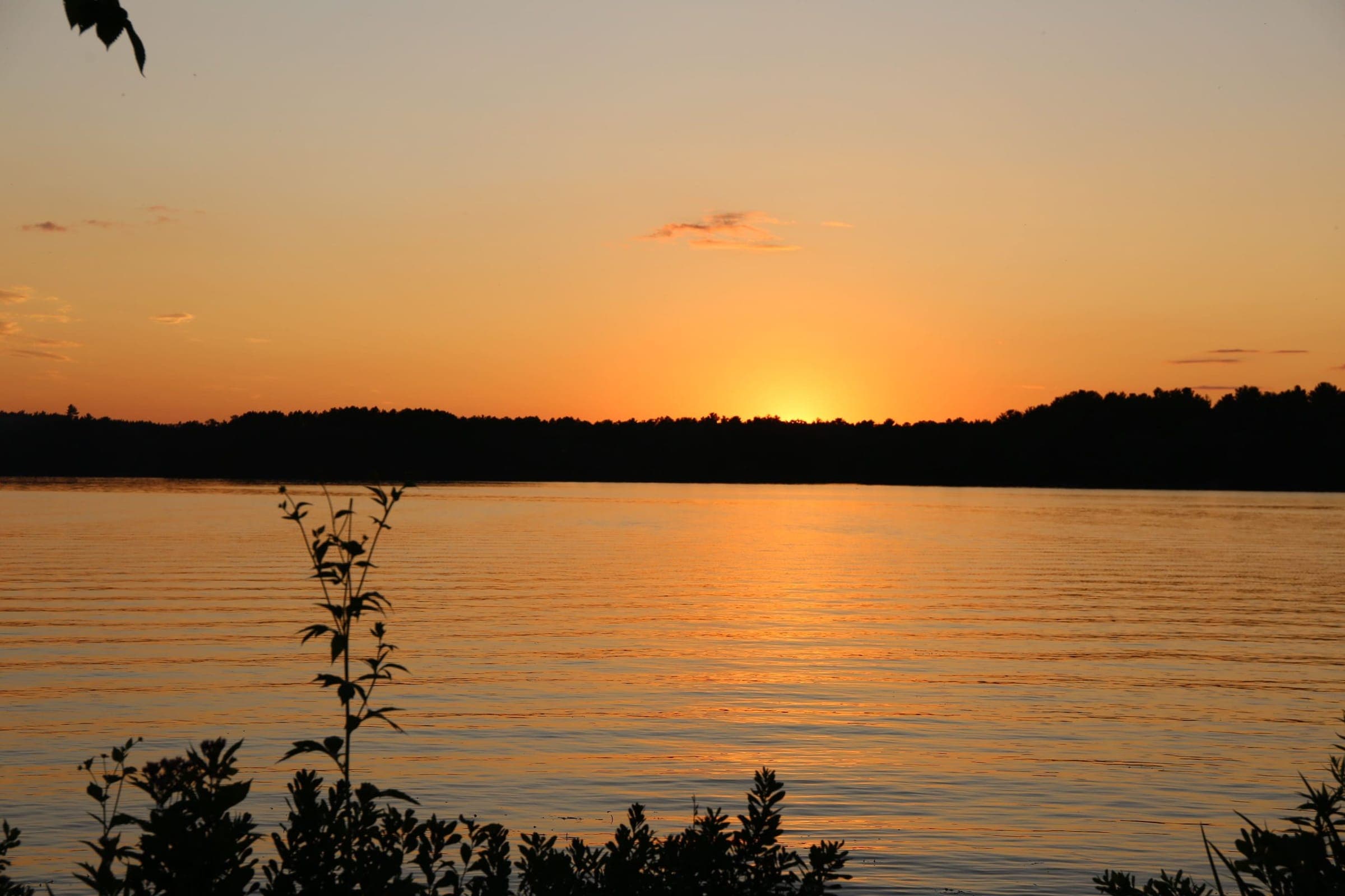 Rhinelander