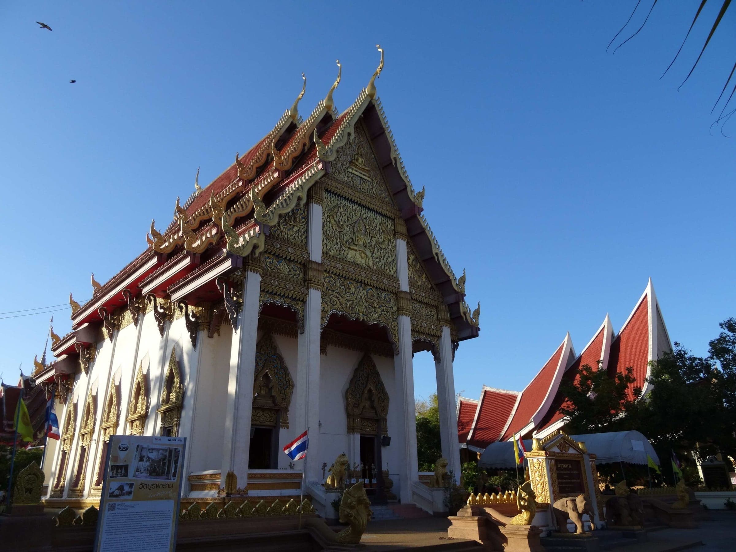 Surin