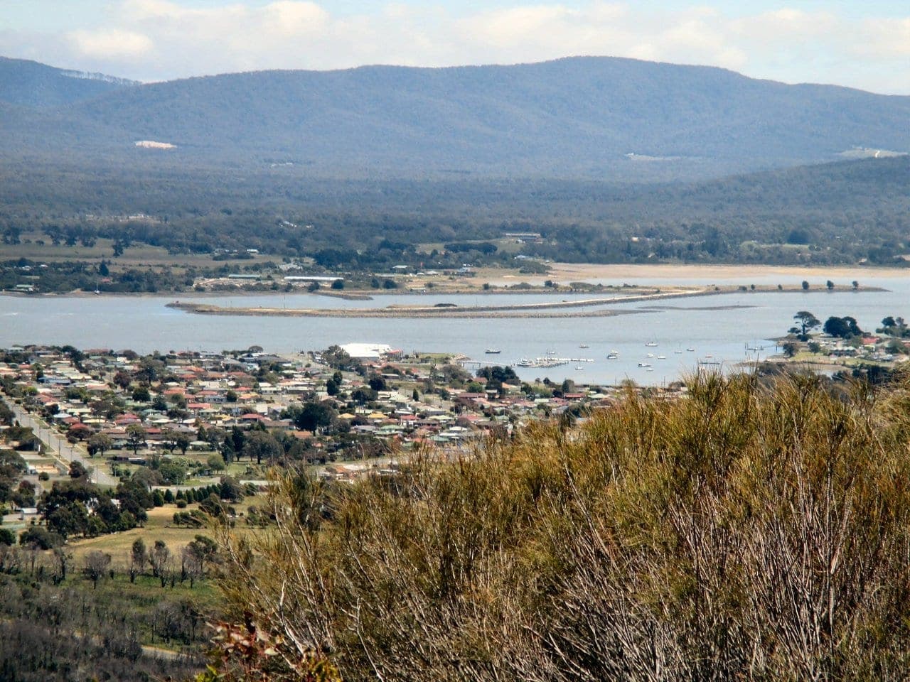 Джорджтаун