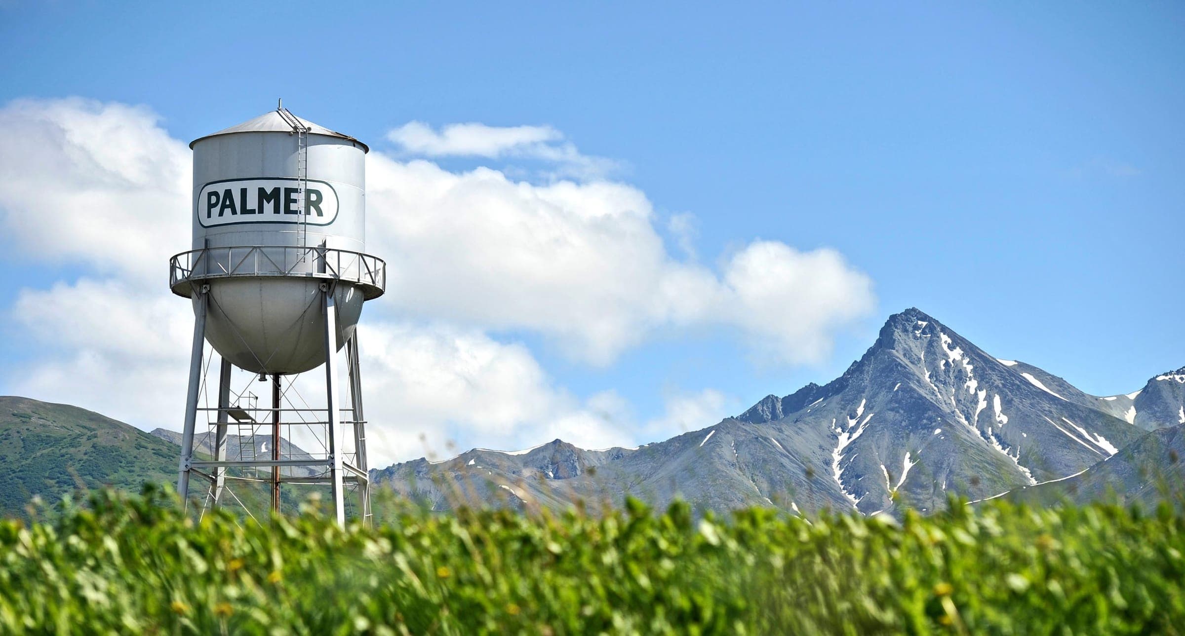 Palmer