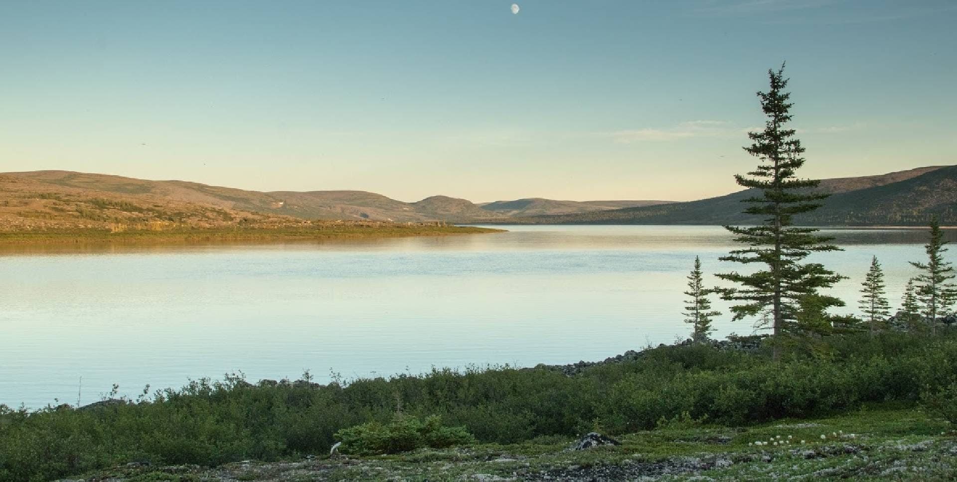 Шеффервилл