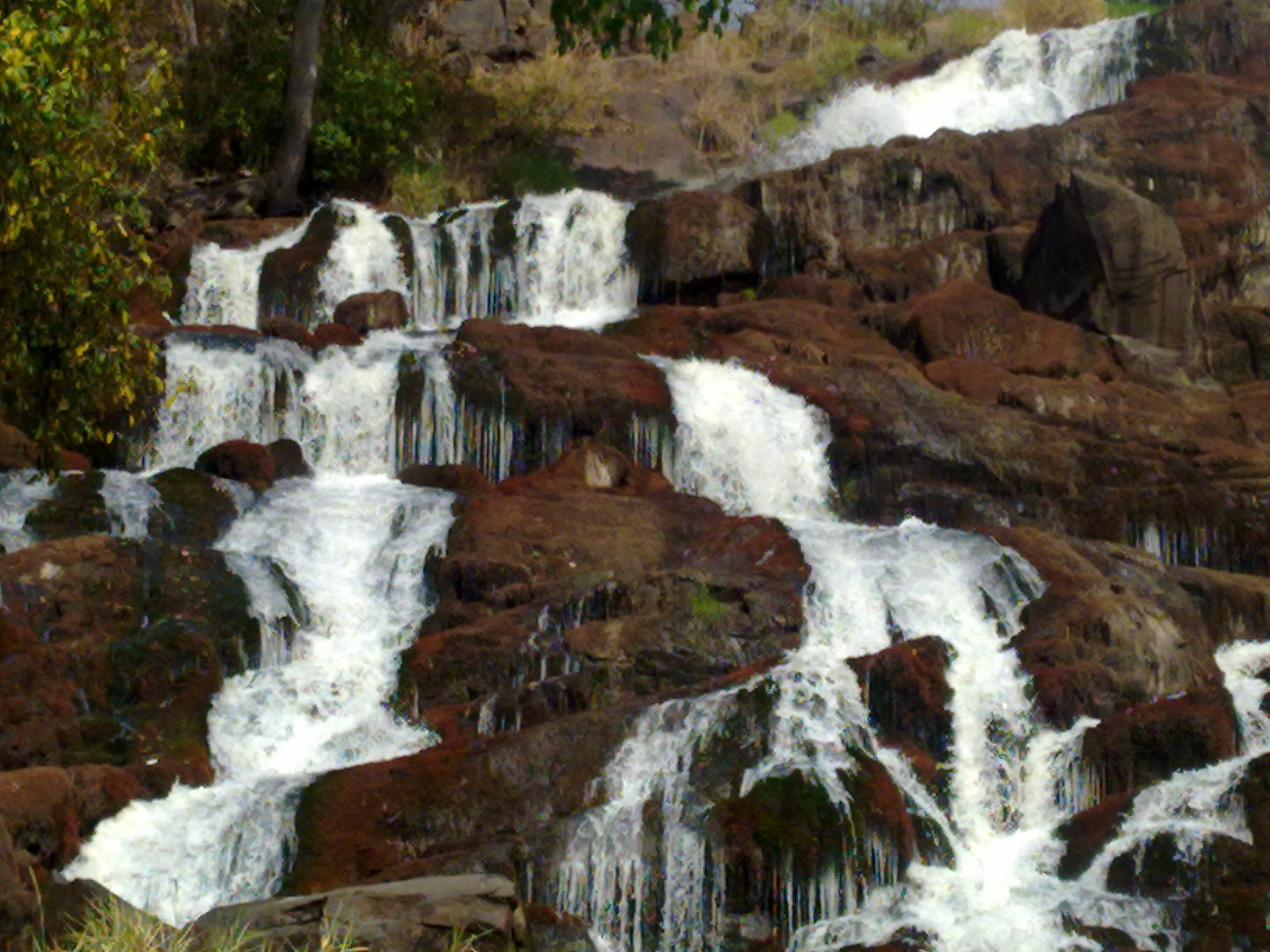 Arua