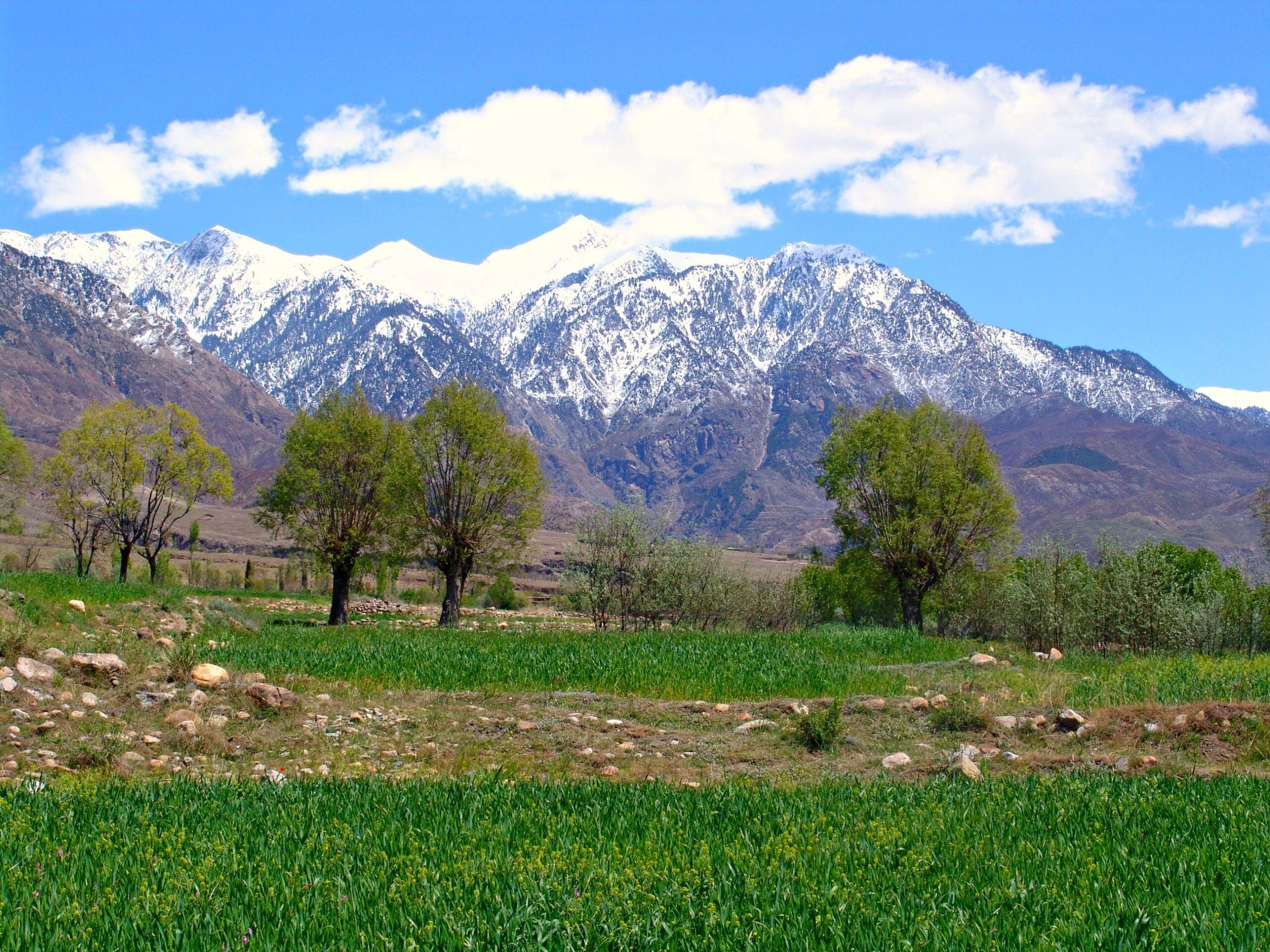 Para Chinar