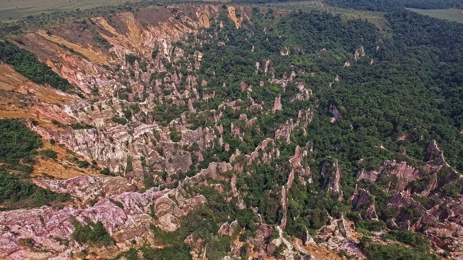 Лекони