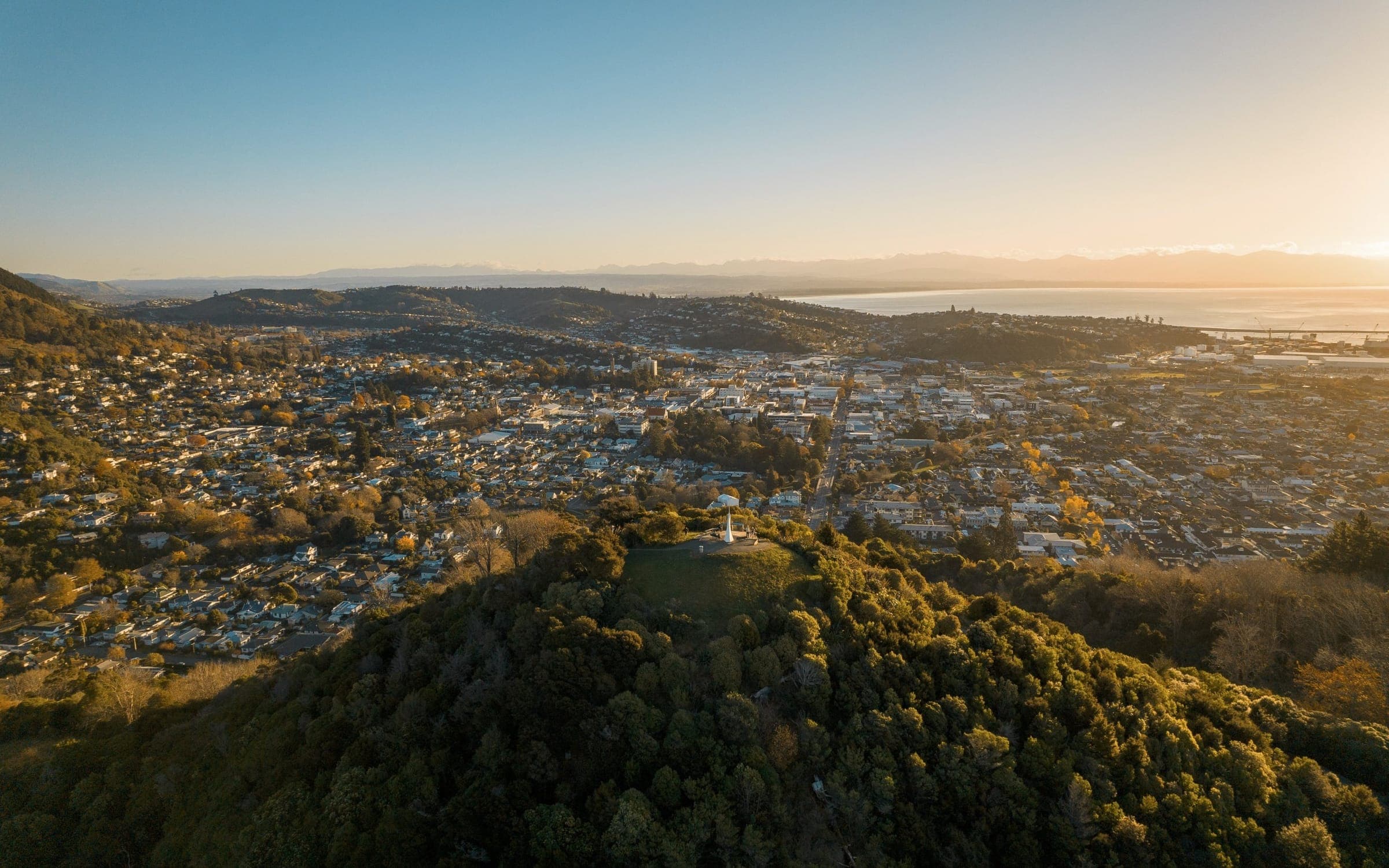 Nelson