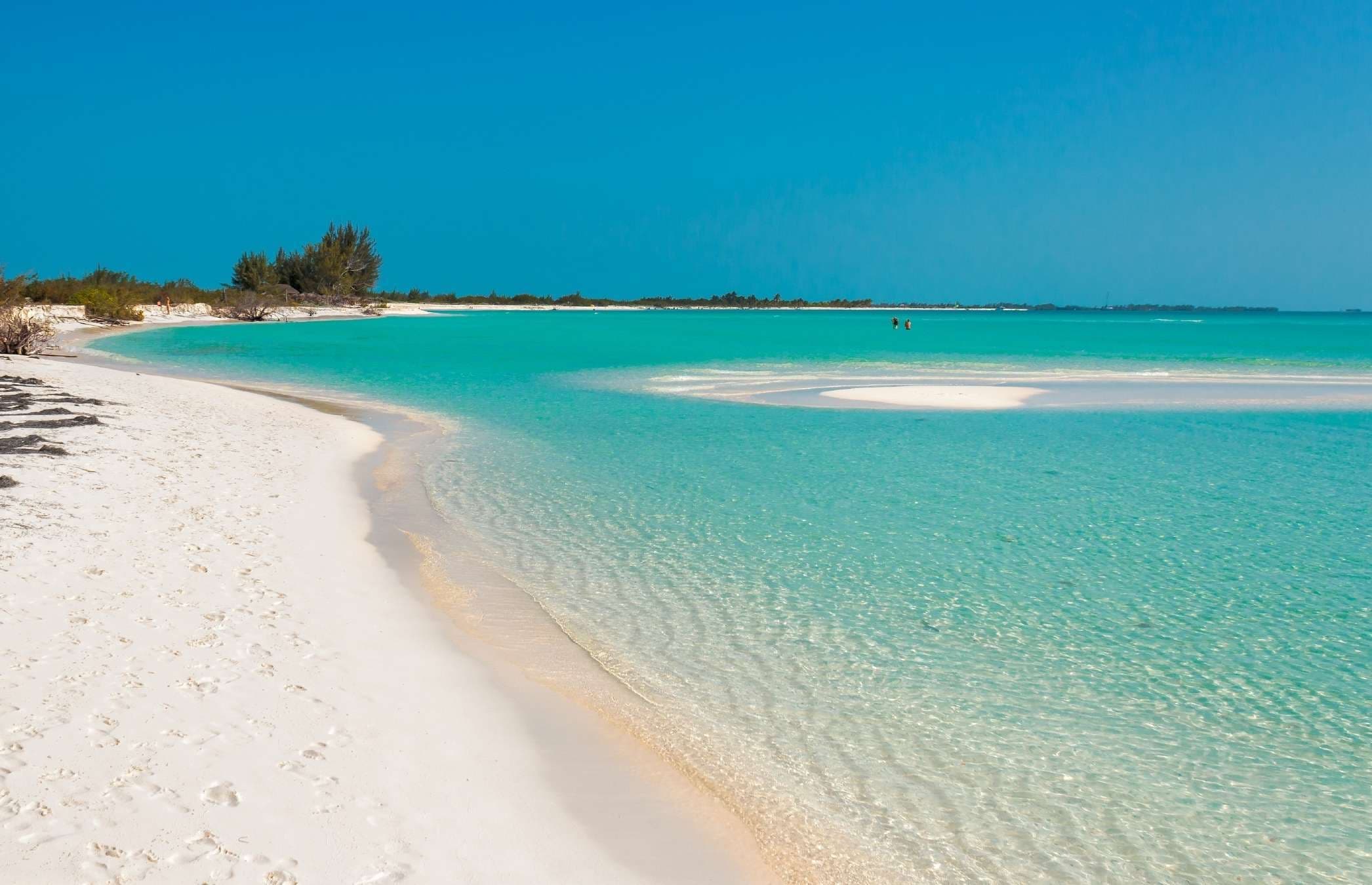 Нуэва-Херона