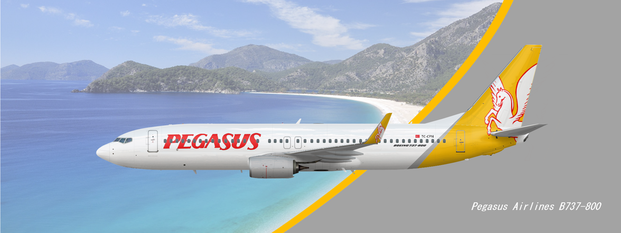 Pegasus Airlines B737 800 Concept Livery - Concept Liveries - Gallery -  Airline Empires