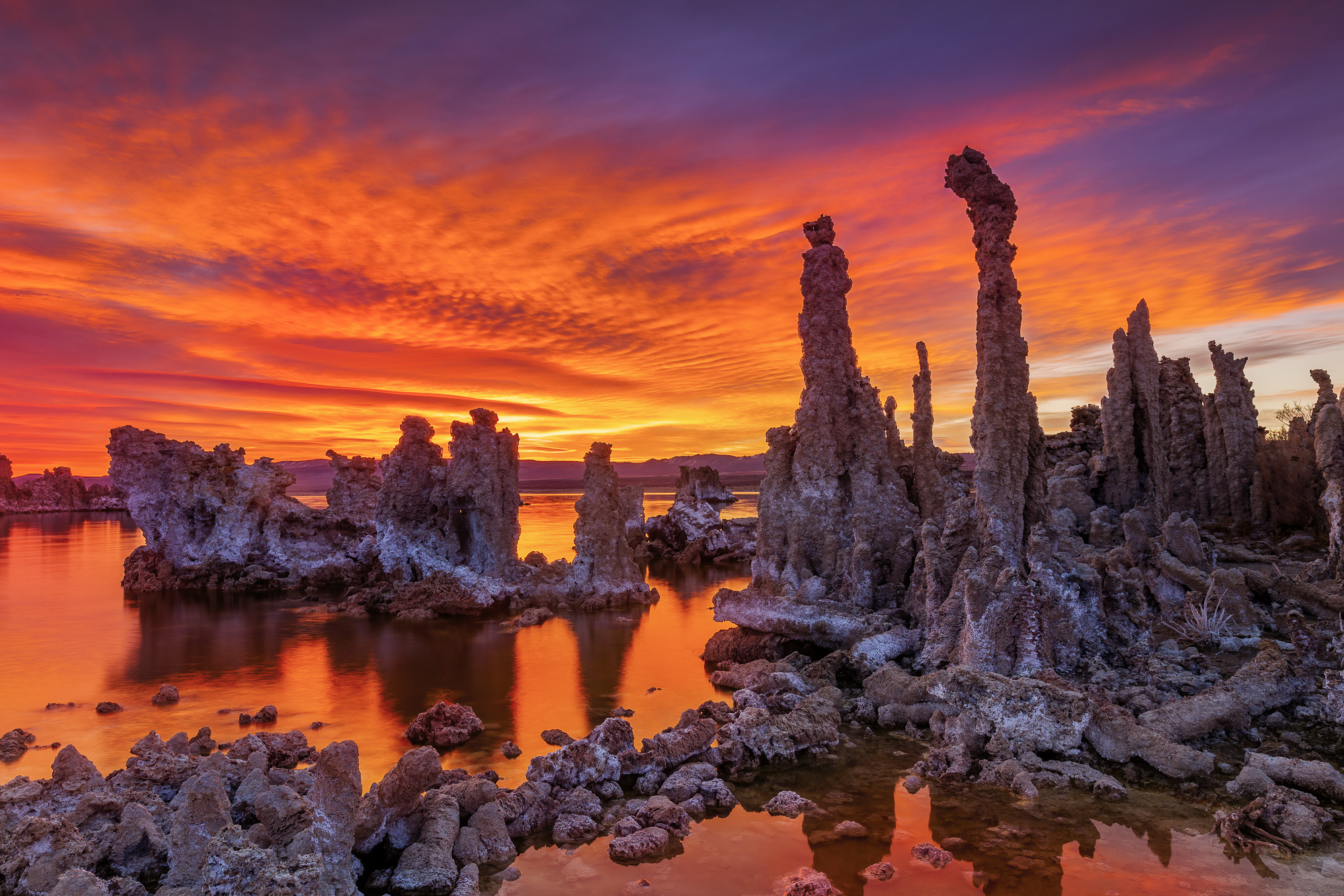 Statele Unite ale Americii